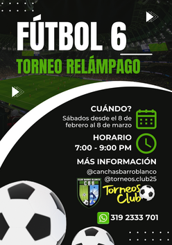 Cartel del torneo