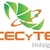 Cecyteh Mineral de la Reforma