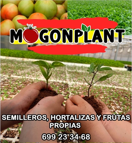 MogonPlant