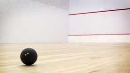 Fotos de squash