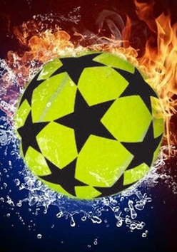 Cartel del torneo
