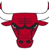Bulls