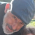 Wences Rodríguez