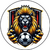 Los Leones Engripaos