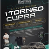 Cartel