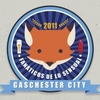 Gaschester