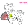 Tiara Team