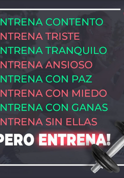 Cartel del torneo