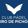 Pulsar Energy-Tiro Pichón Pro