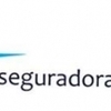 Aseguradora del Sur