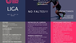 Bases Generales de la Liga