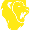 Llionés Sport 💛