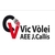 CV VIC