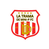 La Trama de Mini-P F.C.