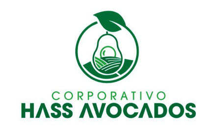 Corporativo Hass Avocados