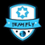Team Fly