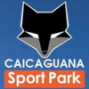 Team Caicaguana 6ta A