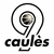 NOU CAULÈS TARONJA