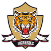 Ligres Eleven F.S.