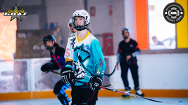DUCKS VS GADEX