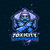 Toxicity Gaming Team