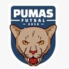 Academia Futsal Pumas