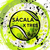 Sacalax3  B
