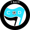 CAMPEÓN BACH. E CICLOS IES RODEIRA_1º BACH. D+C