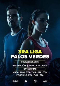 Cartel del torneo