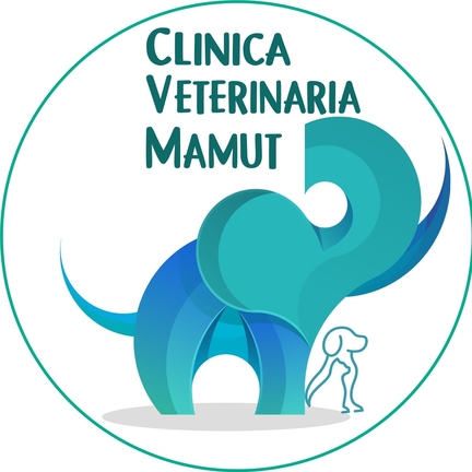 Clinica veterinaria Mamut