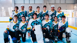 HOCKEY GADEX