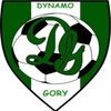 DYNAMO GORY